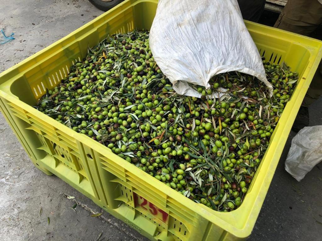 B&B Tenuta La Puntara Caltanissetta Ngoại thất bức ảnh