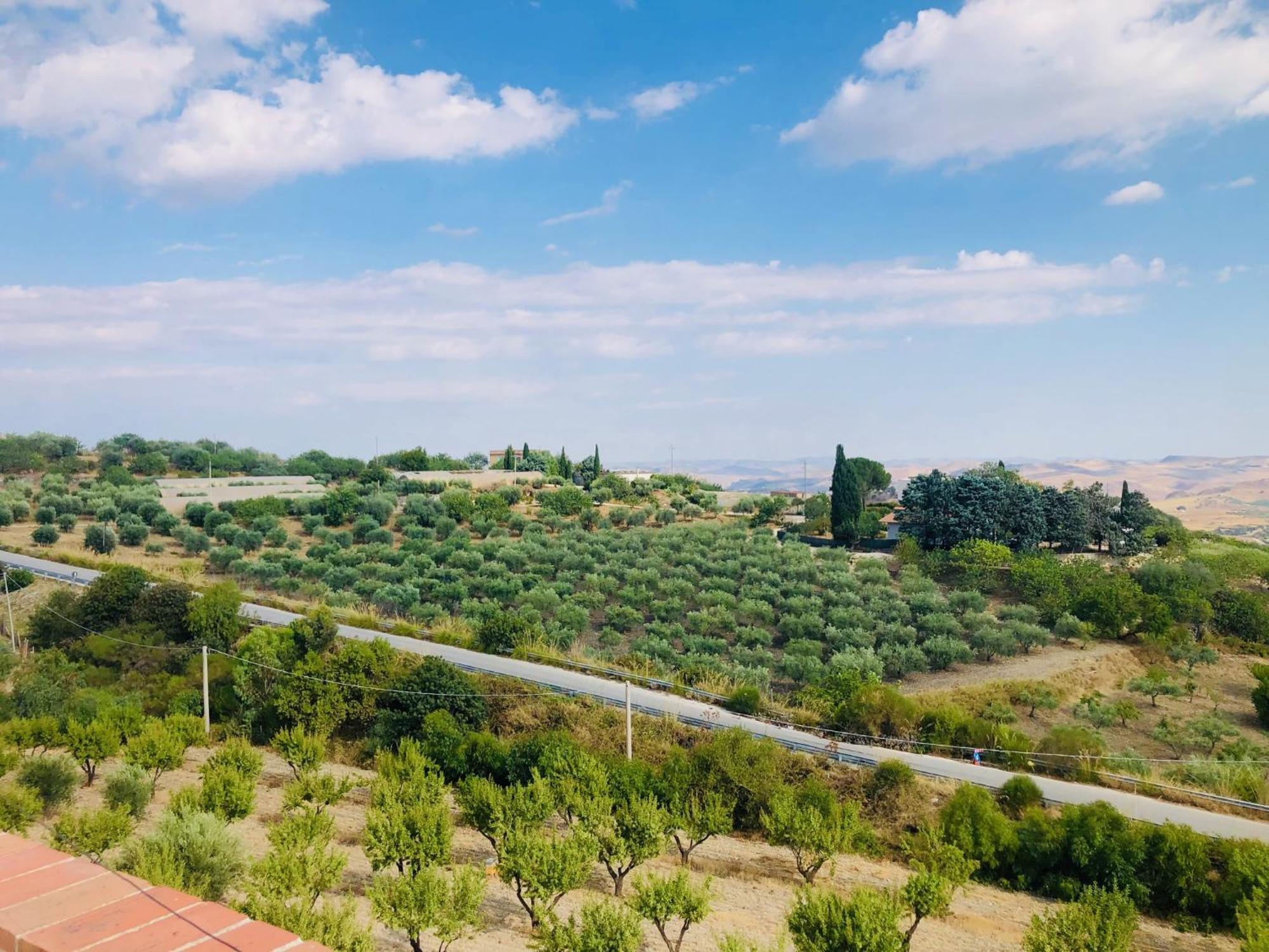 B&B Tenuta La Puntara Caltanissetta Ngoại thất bức ảnh